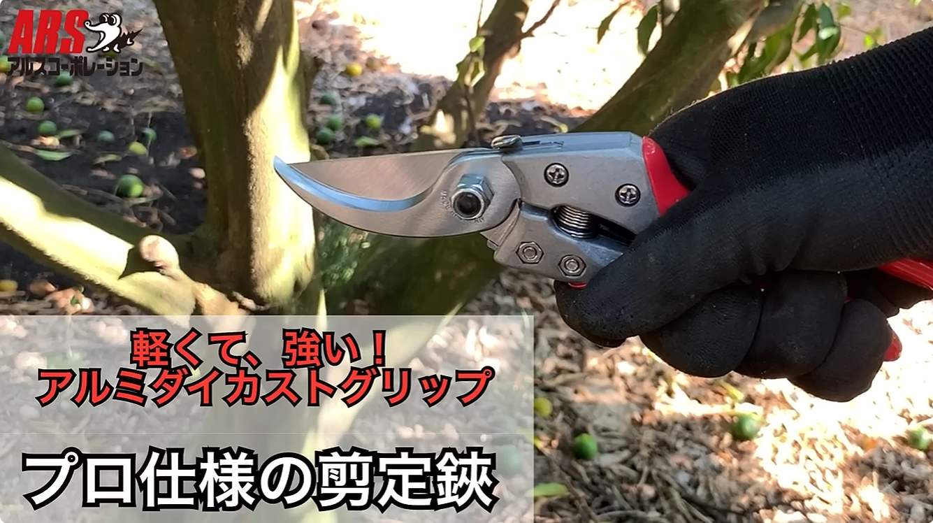 Amazon | アルスコーポレーション アルス 剪定鋏 ブイエスエイト VS-8Z